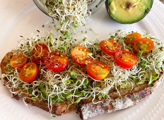 Creative Ways to Use Sprouts in Every Meal