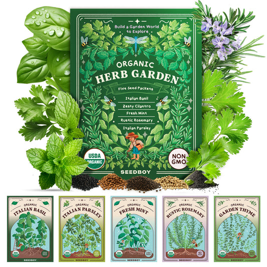 5 sachets de graines de variétés d'herbes
