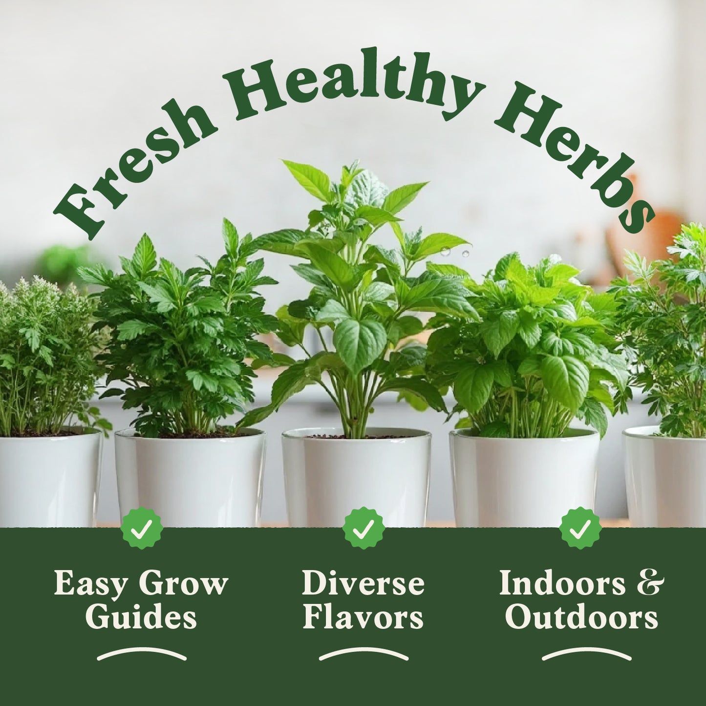5 Herb Seed Packets - Variety Package