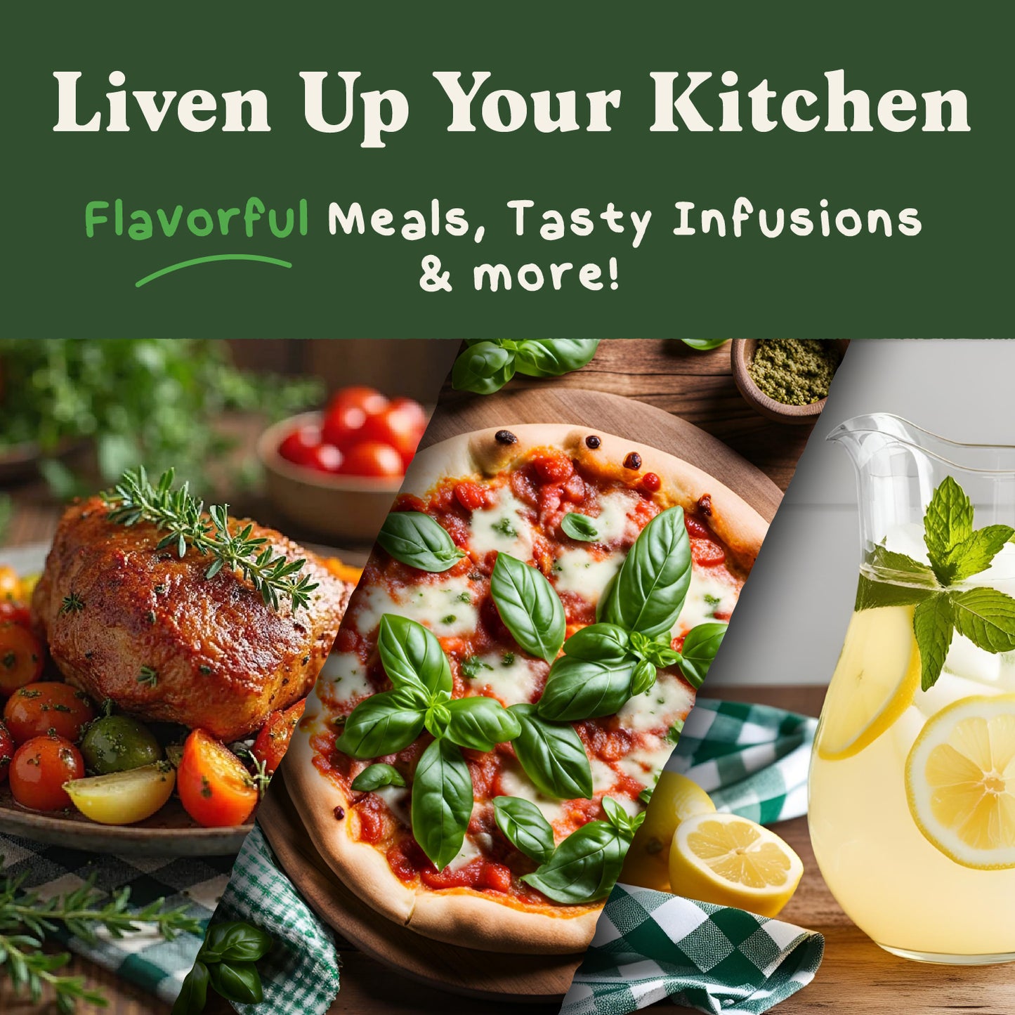 5 Herb Seed Packets - Variety Package