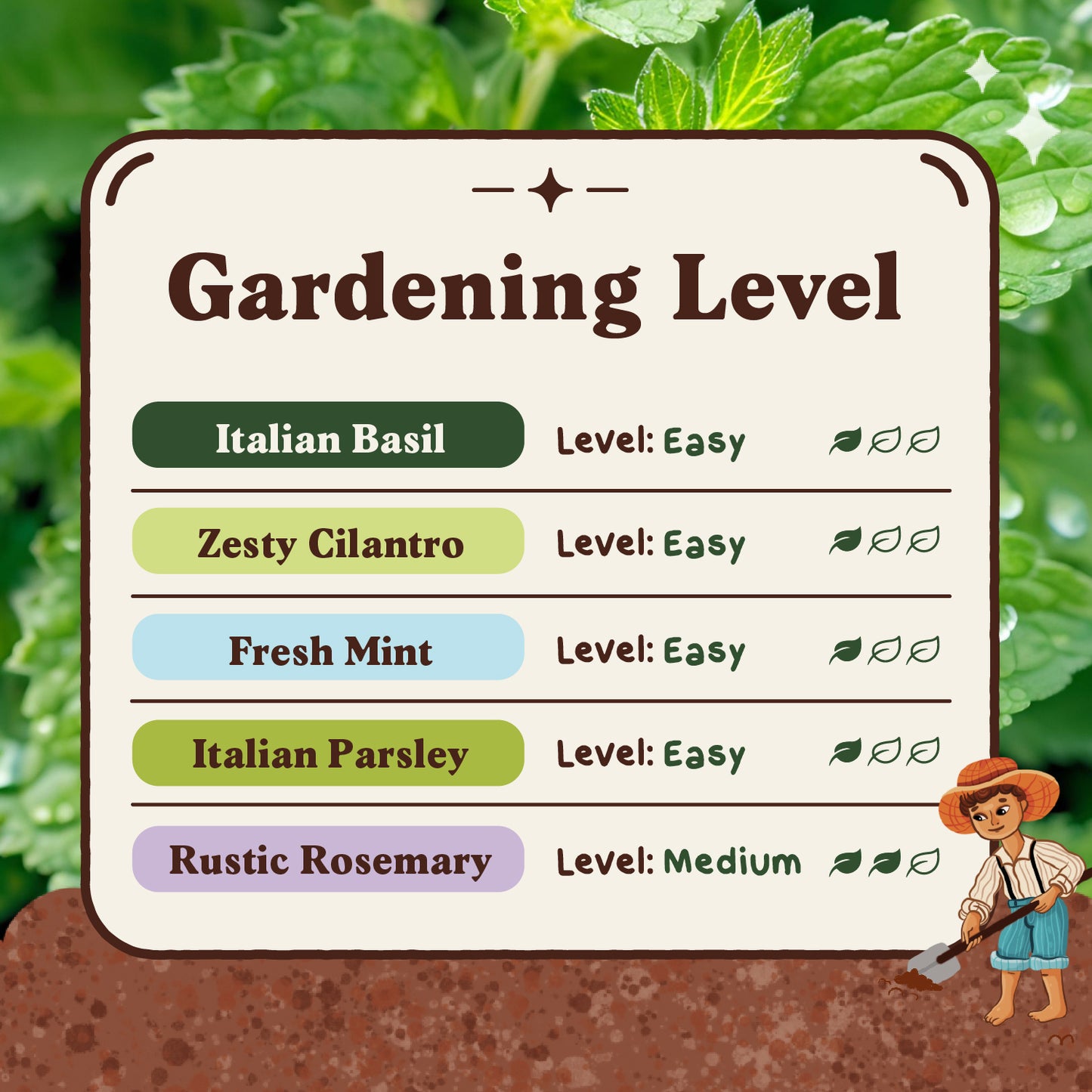 5 Herb Seed Packets - Variety Package