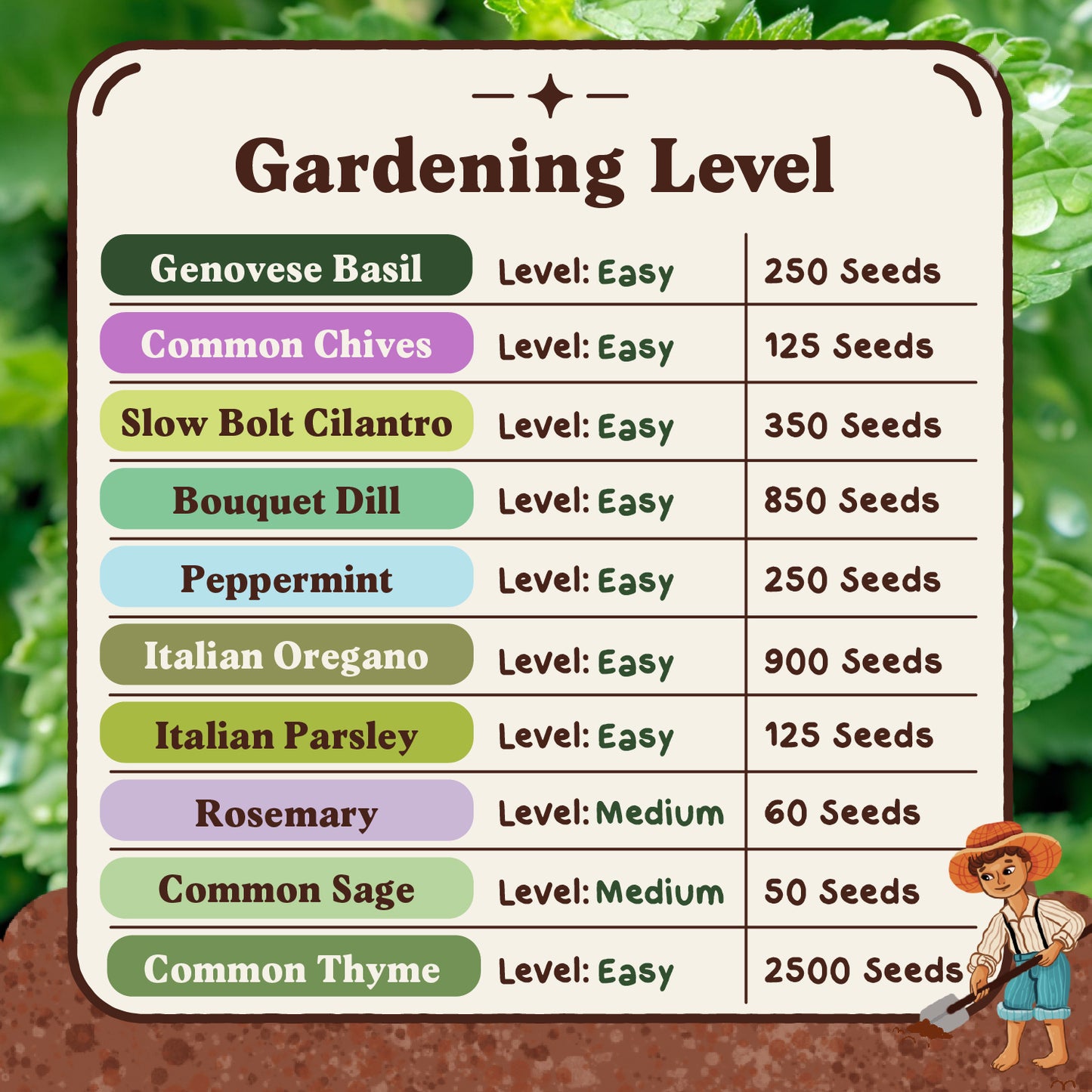 10 Herb Seed Packets - Variety Package