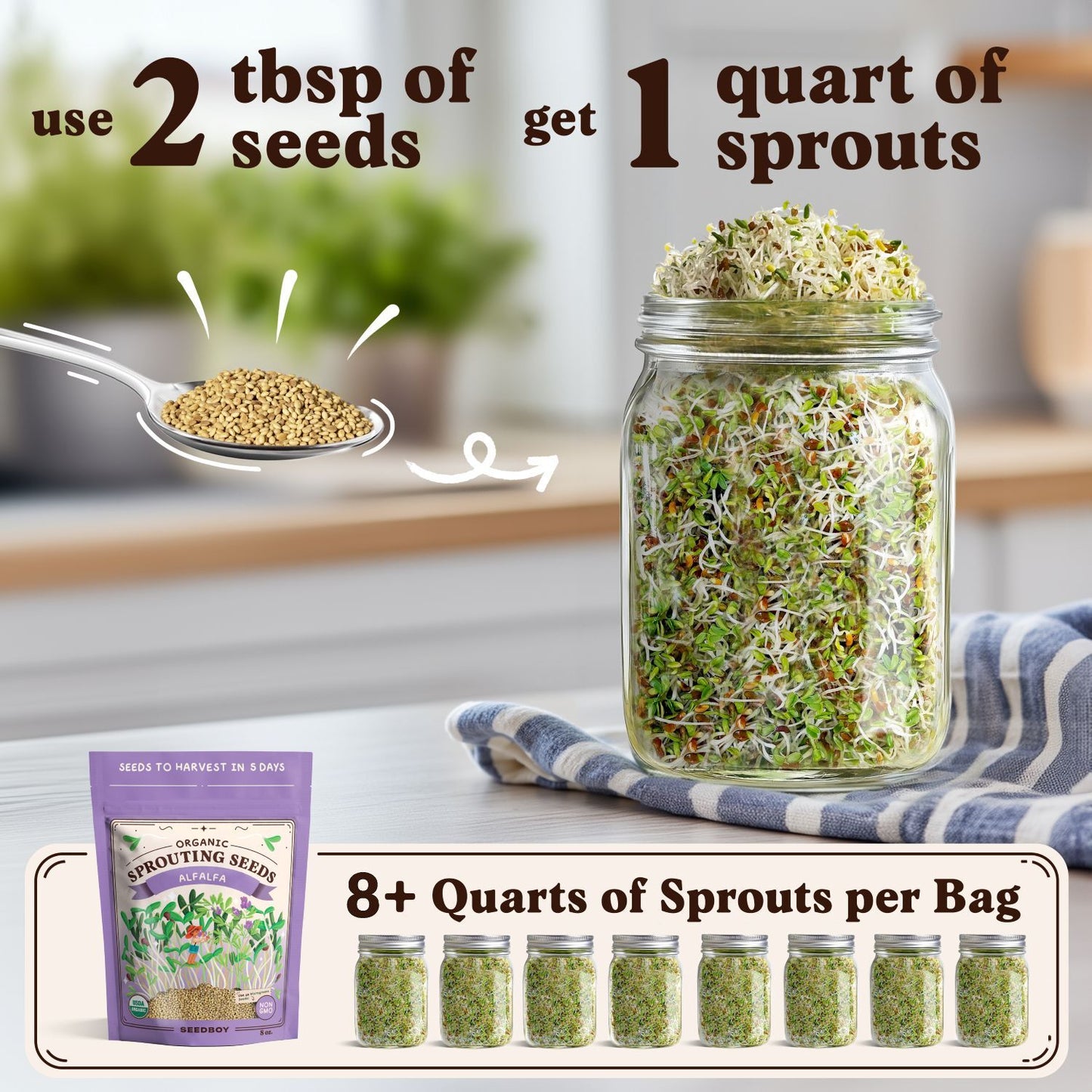 Organic Alfalfa Sprouting Seeds