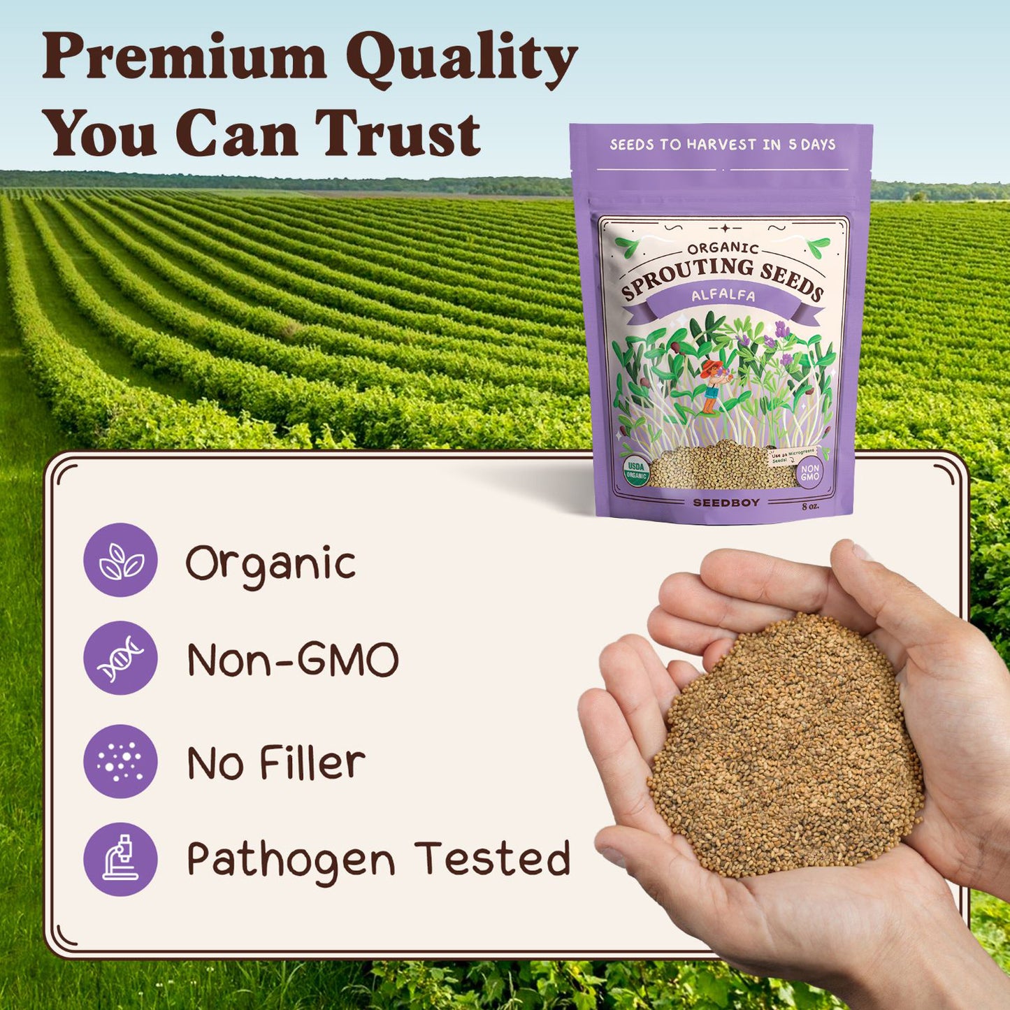 Organic Alfalfa Sprouting Seeds