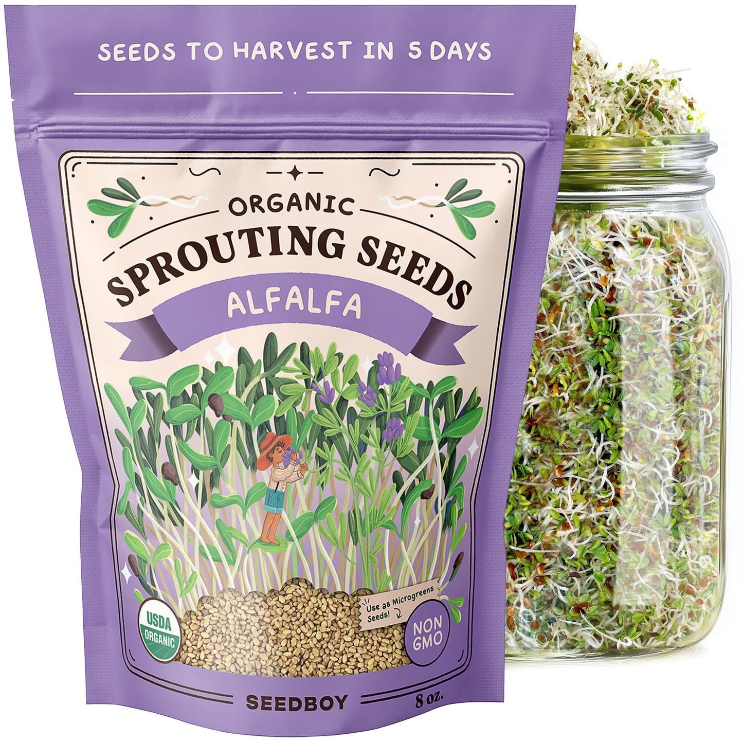 Organic Alfalfa Sprouting Seeds