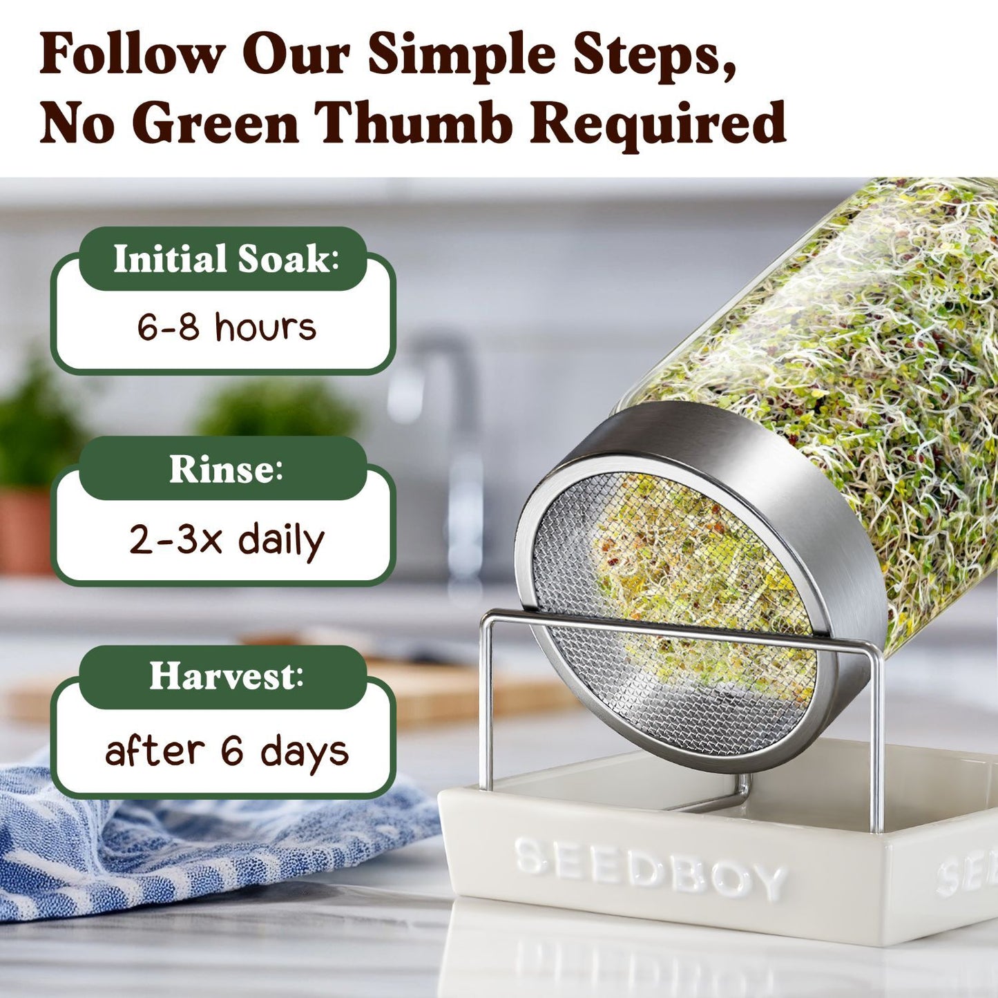 Organic Di Cicco Broccoli Sprouting Seeds
