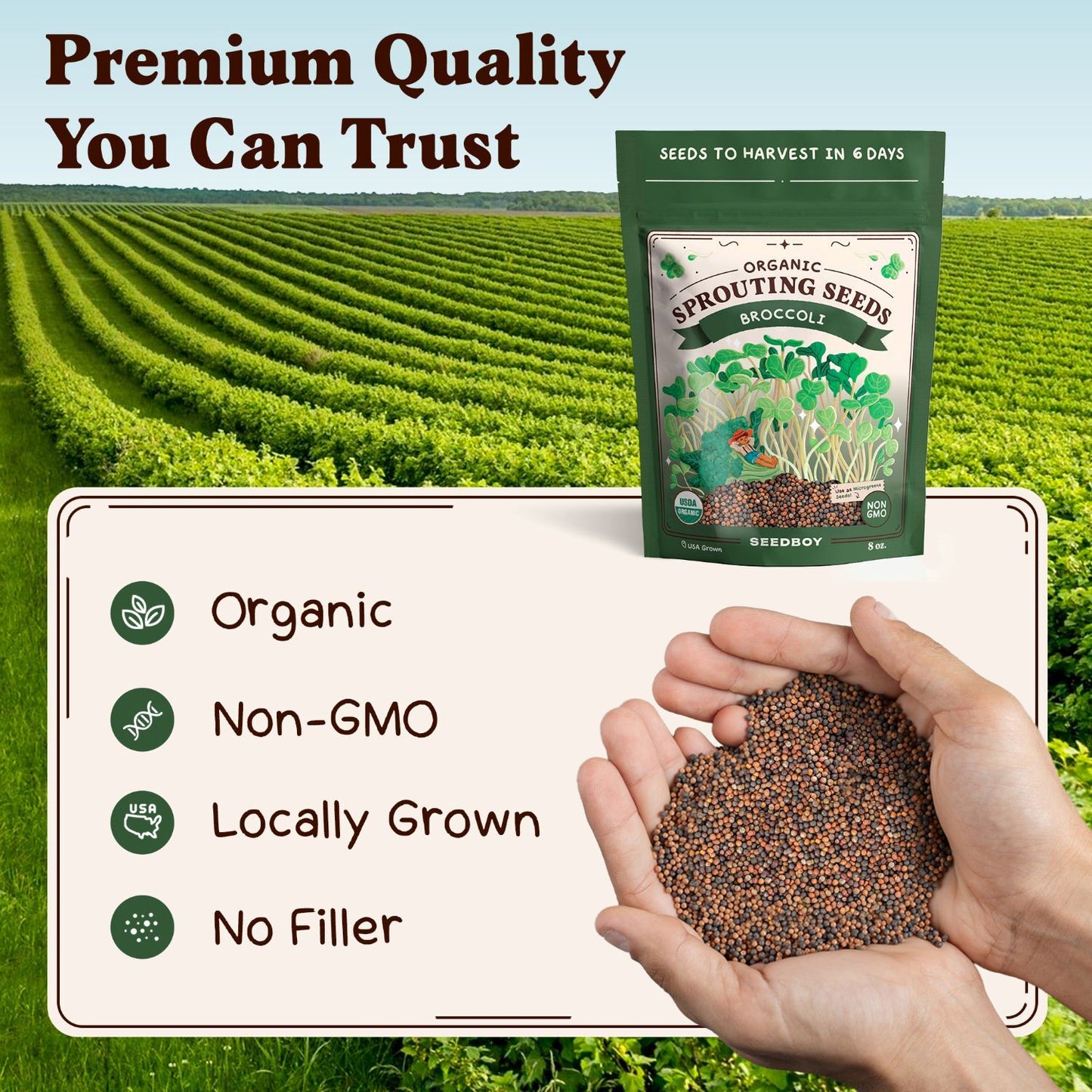 Organic Di Cicco Broccoli Sprouting Seeds