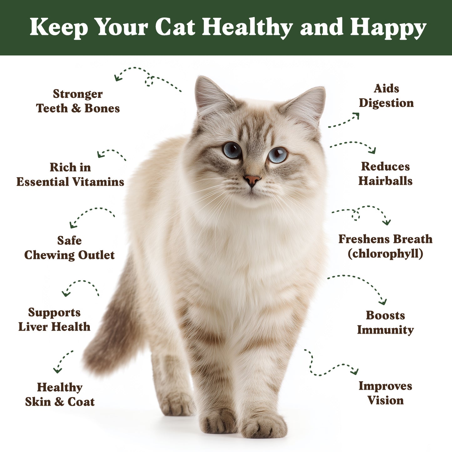 Organic Cat Grass Seed Packet - 16 oz Bag