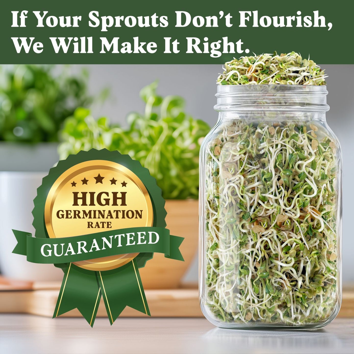 Fenugreek Sprouting Seeds, Organic & Non-GMO  – 8 oz Bag