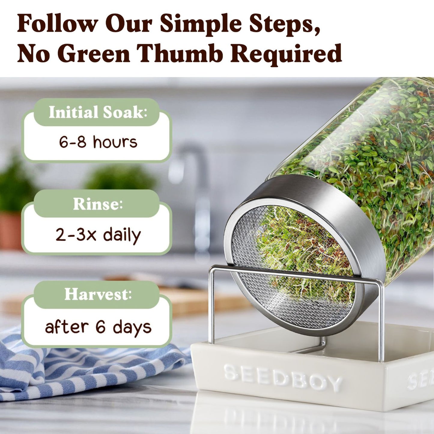 Organic Gut Health Blend Sprouting Seeds