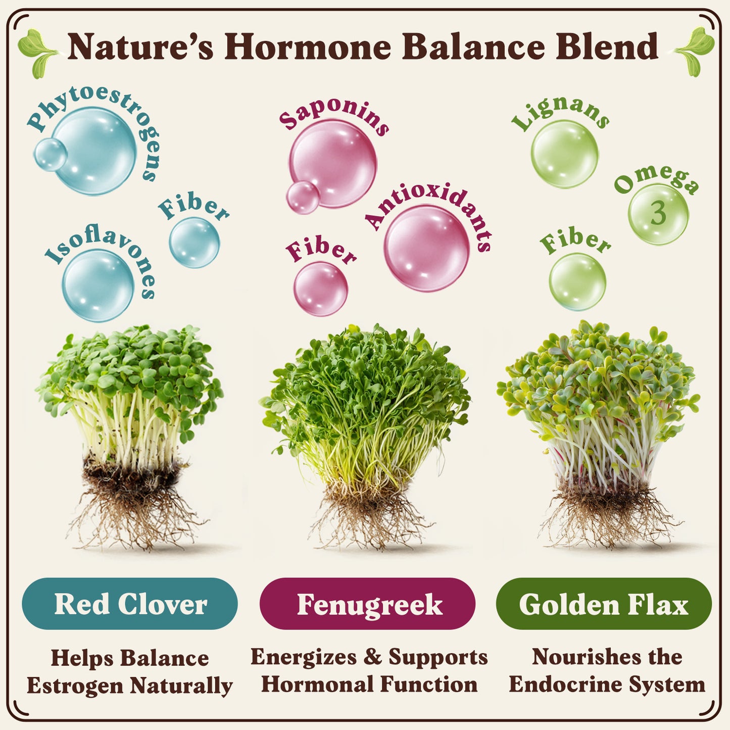 Organic Hormone Balance Blend Sprouting Seeds