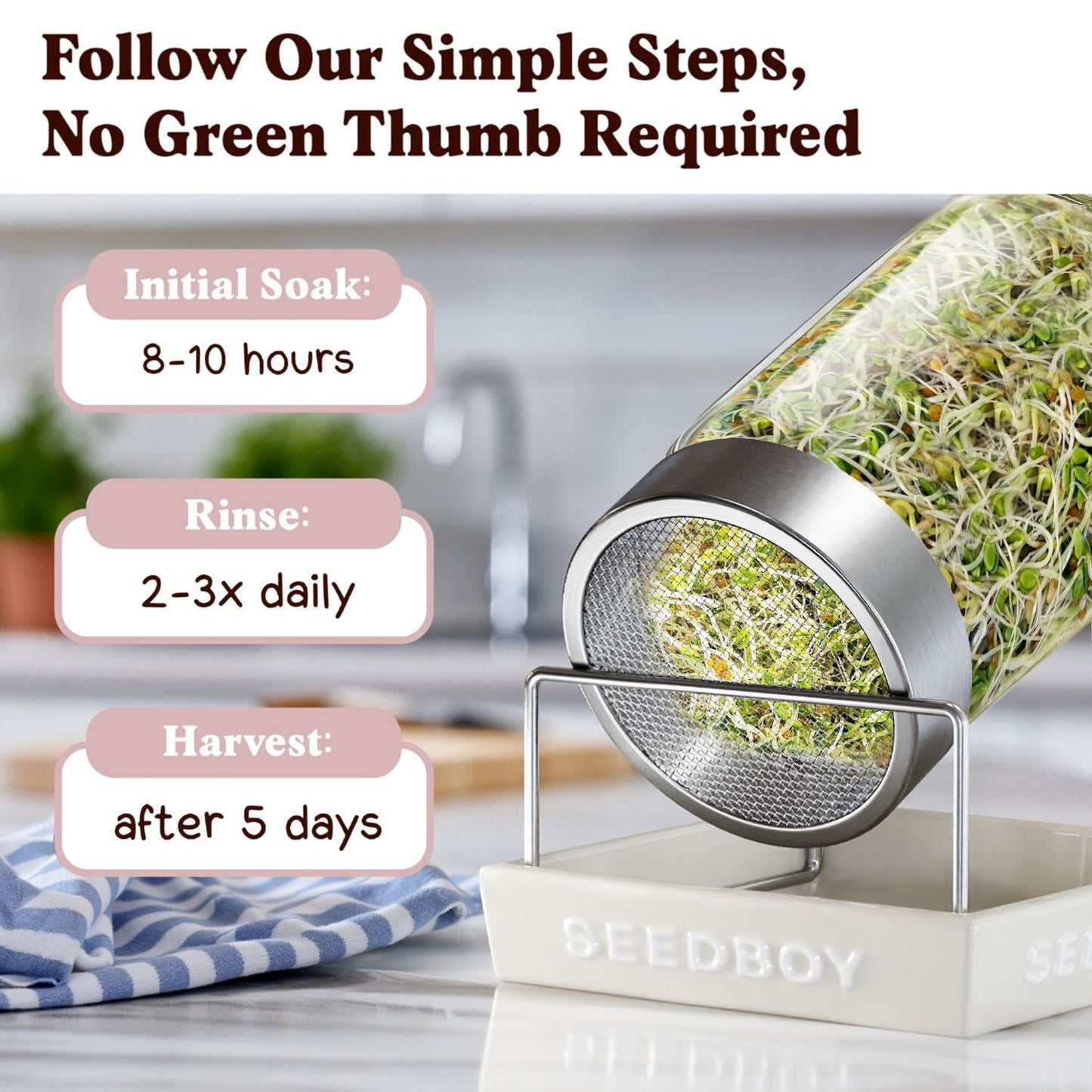 Organic Hormone Balance Blend Sprouting Seeds