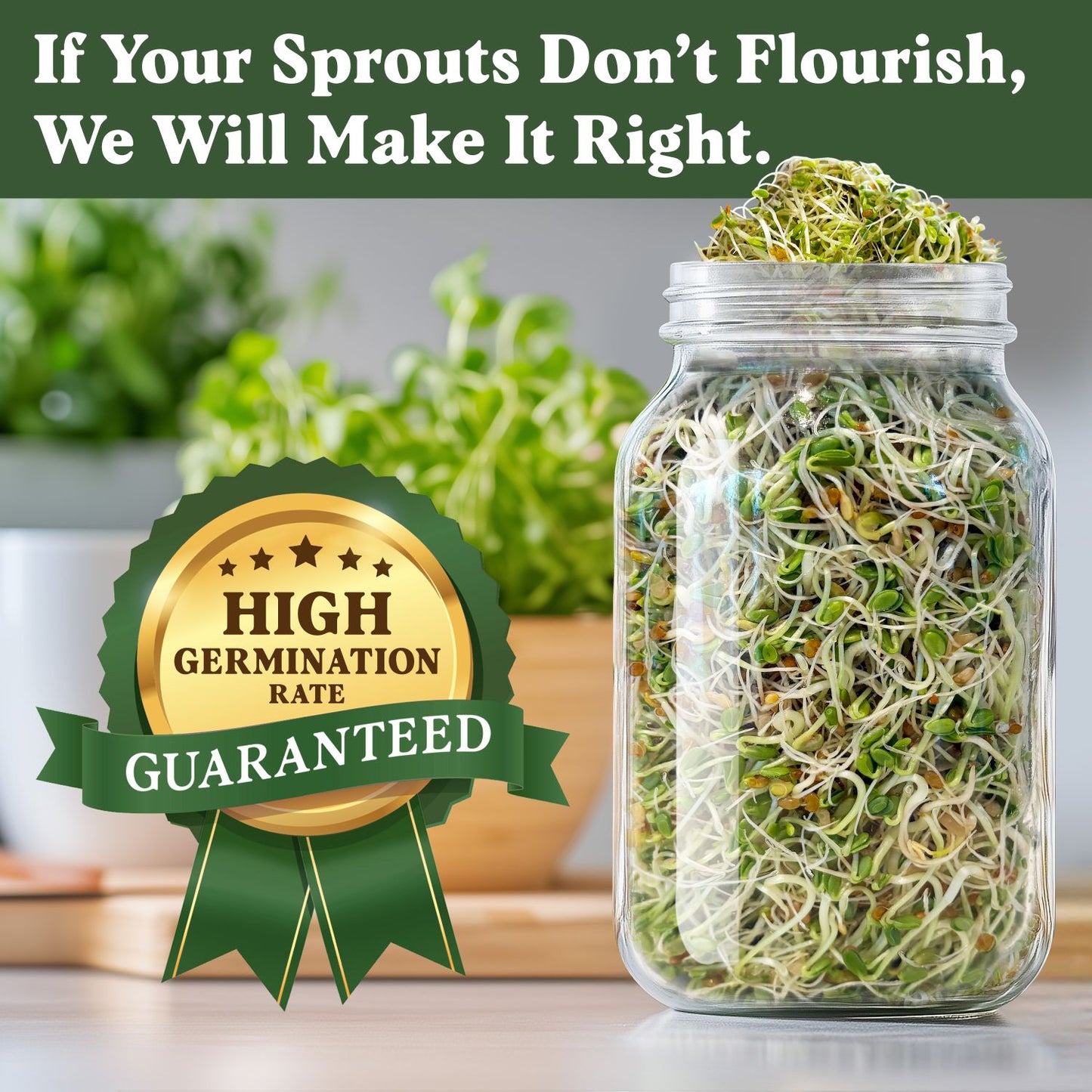 Organic Hormone Balance Blend Sprouting Seeds