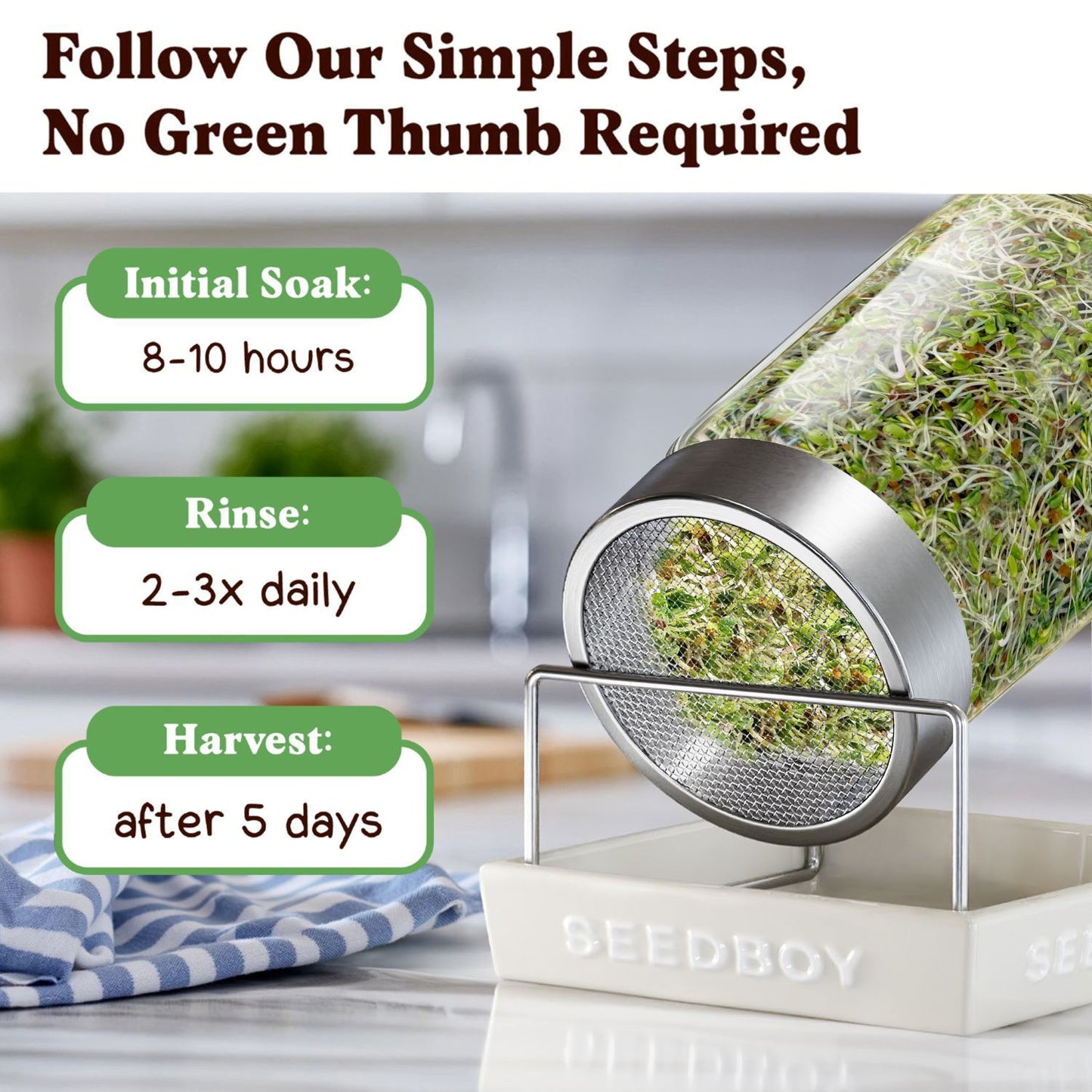 Organic Immunity Blend Sprouting Seeds
