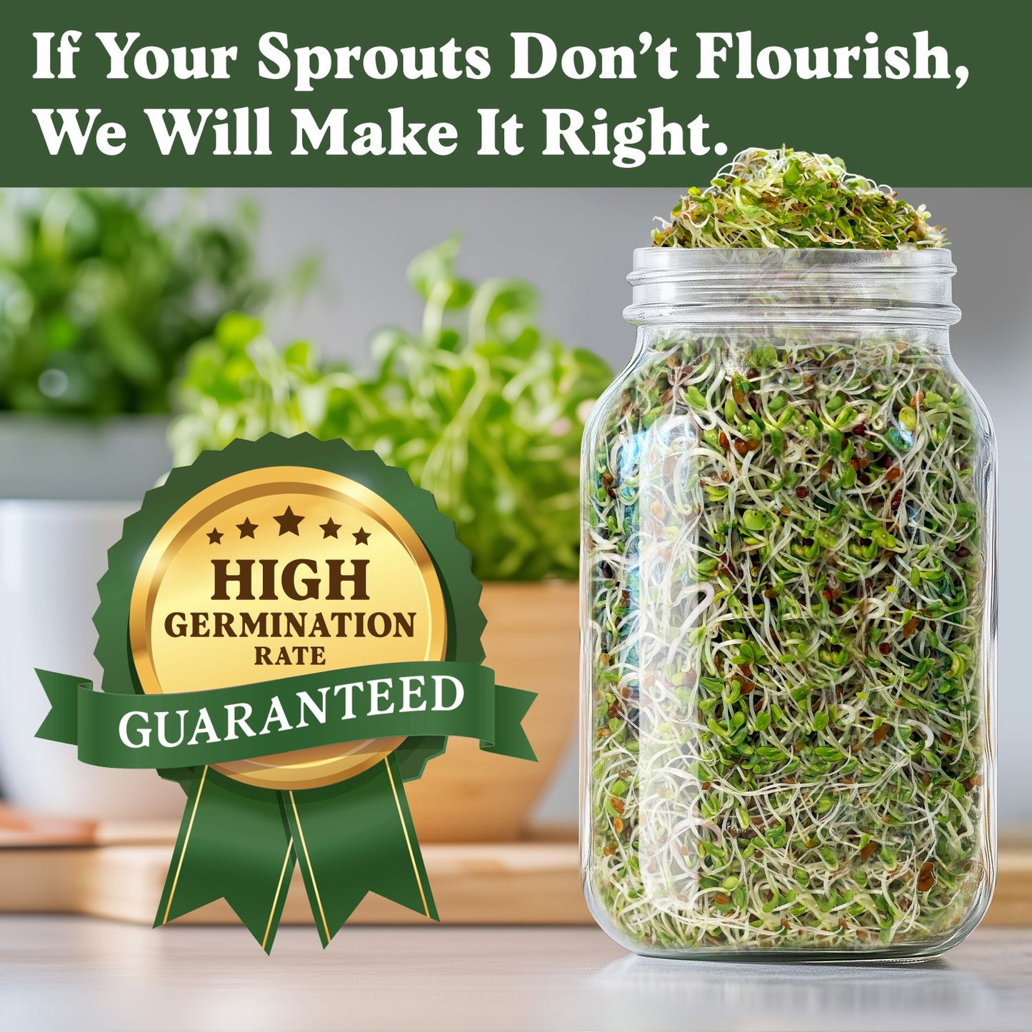 Organic Immunity Blend Sprouting Seeds