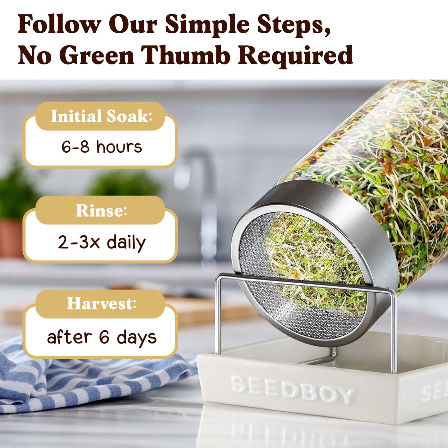 Organic Longevity Blend Sprouting Seeds