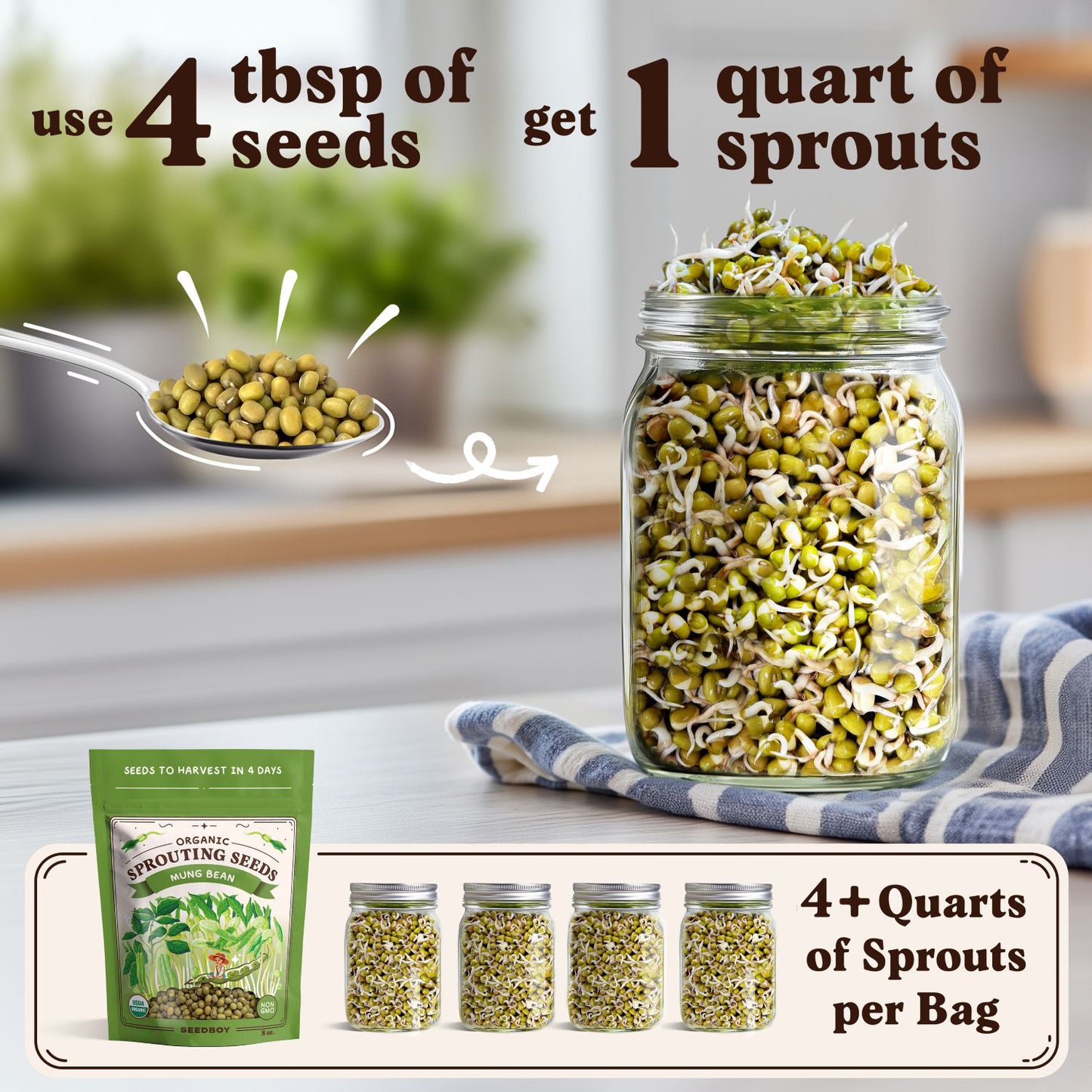 Mung Bean Sprouting Seeds, Organic & Non-GMO  – 8 oz Bag