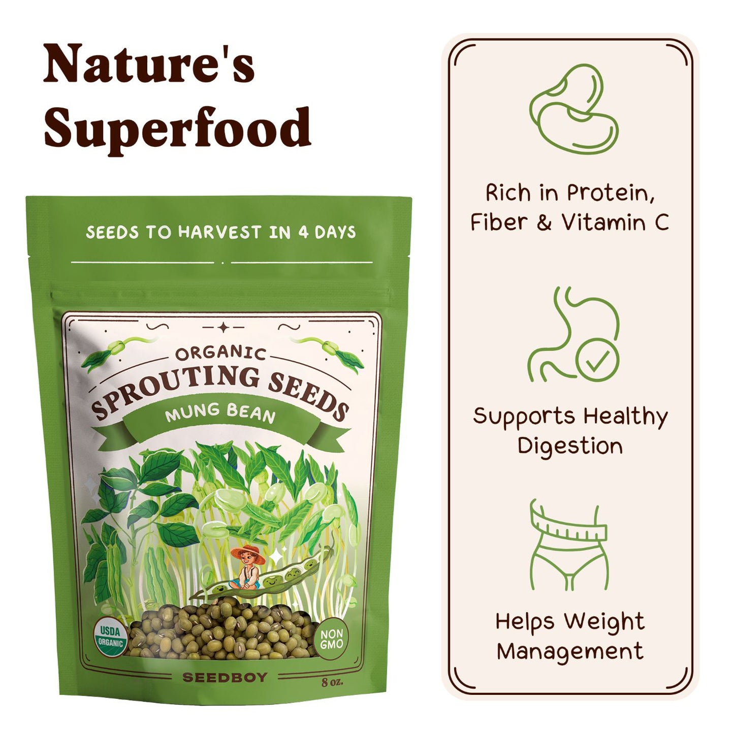 Mung Bean Sprouting Seeds, Organic & Non-GMO  – 8 oz Bag