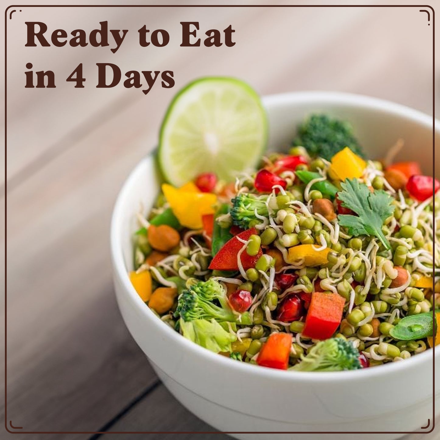 Mung Bean Sprouting Seeds, Organic & Non-GMO  – 8 oz Bag