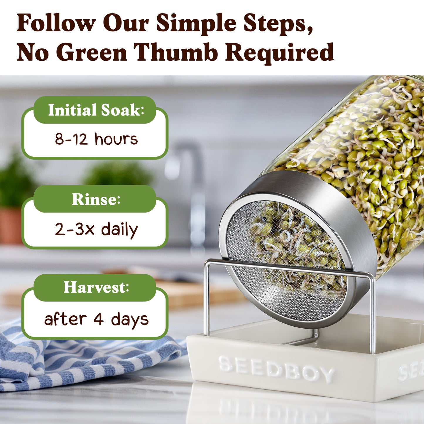 Mung Bean Sprouting Seeds, Organic & Non-GMO  – 8 oz Bag