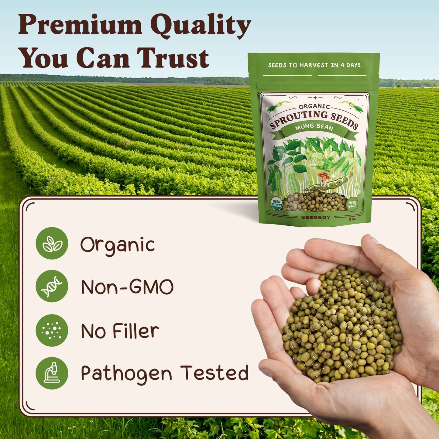 Mung Bean Sprouting Seeds, Organic & Non-GMO  – 8 oz Bag