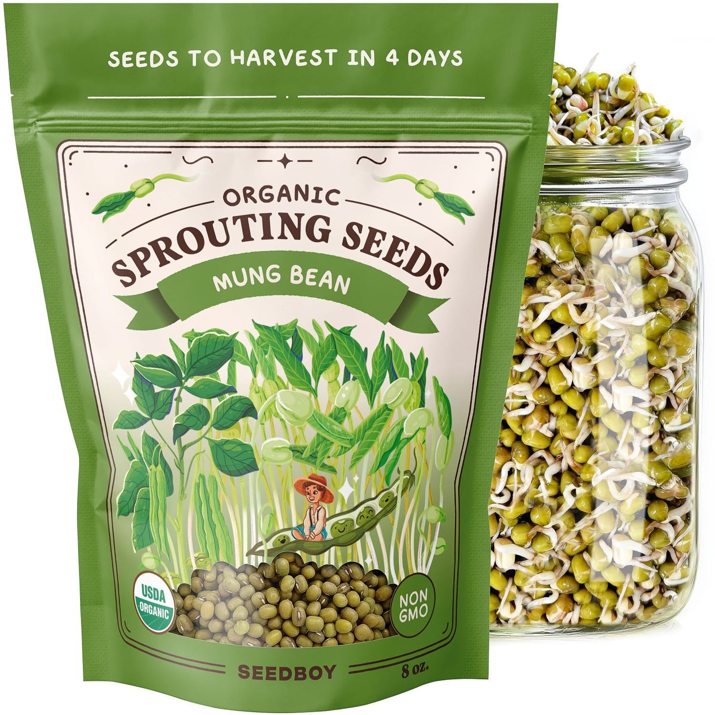 Mung Bean Sprouting Seeds, Organic & Non-GMO  – 8 oz Bag