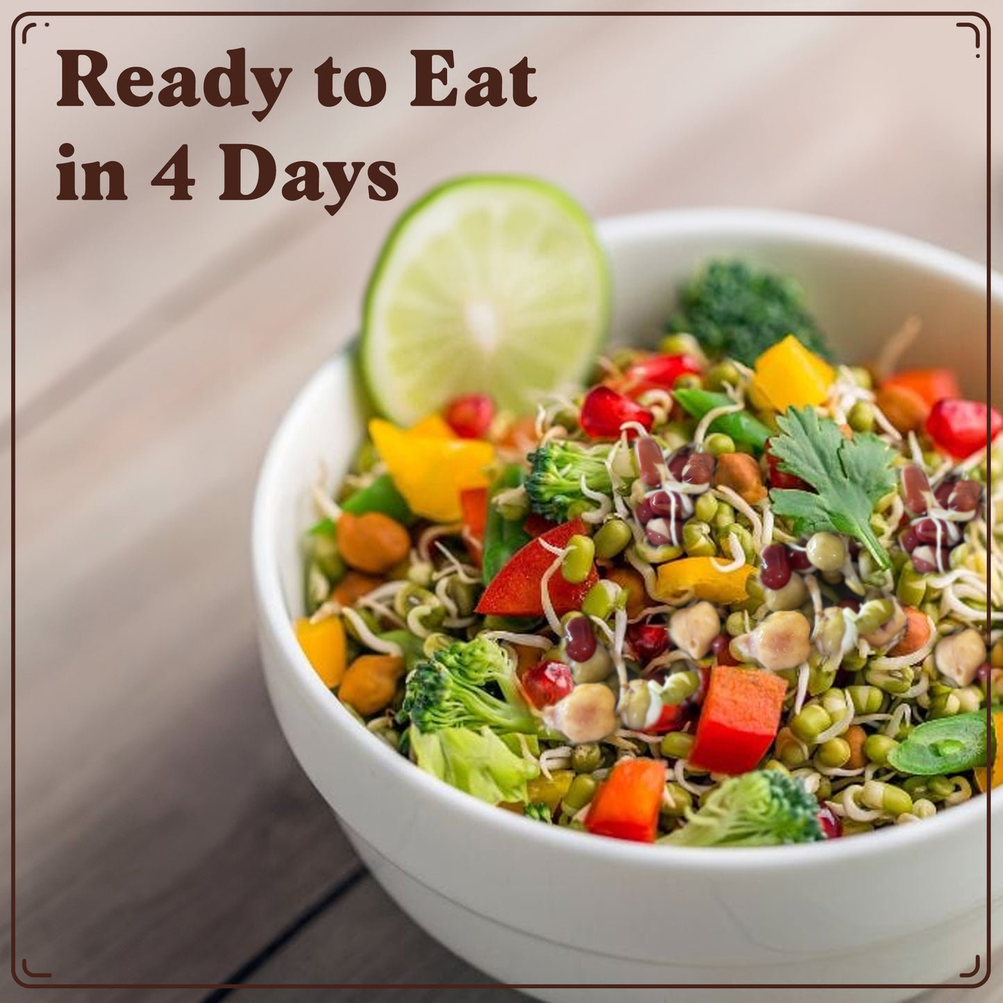 Protein Blend Sprouting Seeds, Organic & Non-GMO  – 8 oz Bag