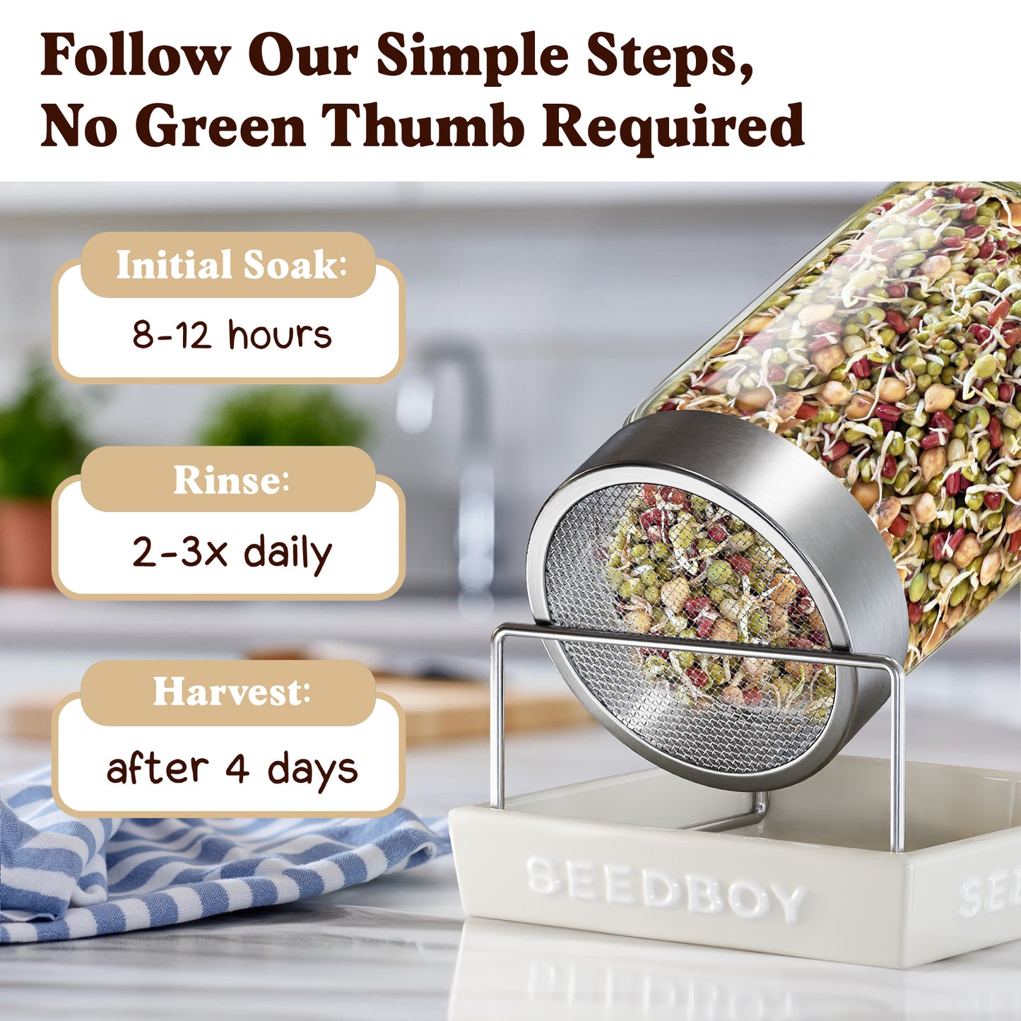 Protein Blend Sprouting Seeds, Organic & Non-GMO  – 8 oz Bag