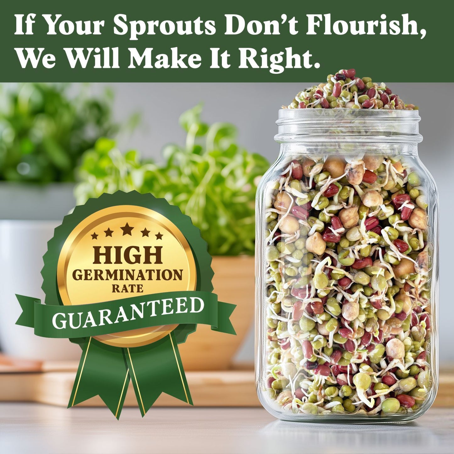 Protein Blend Sprouting Seeds, Organic & Non-GMO  – 8 oz Bag