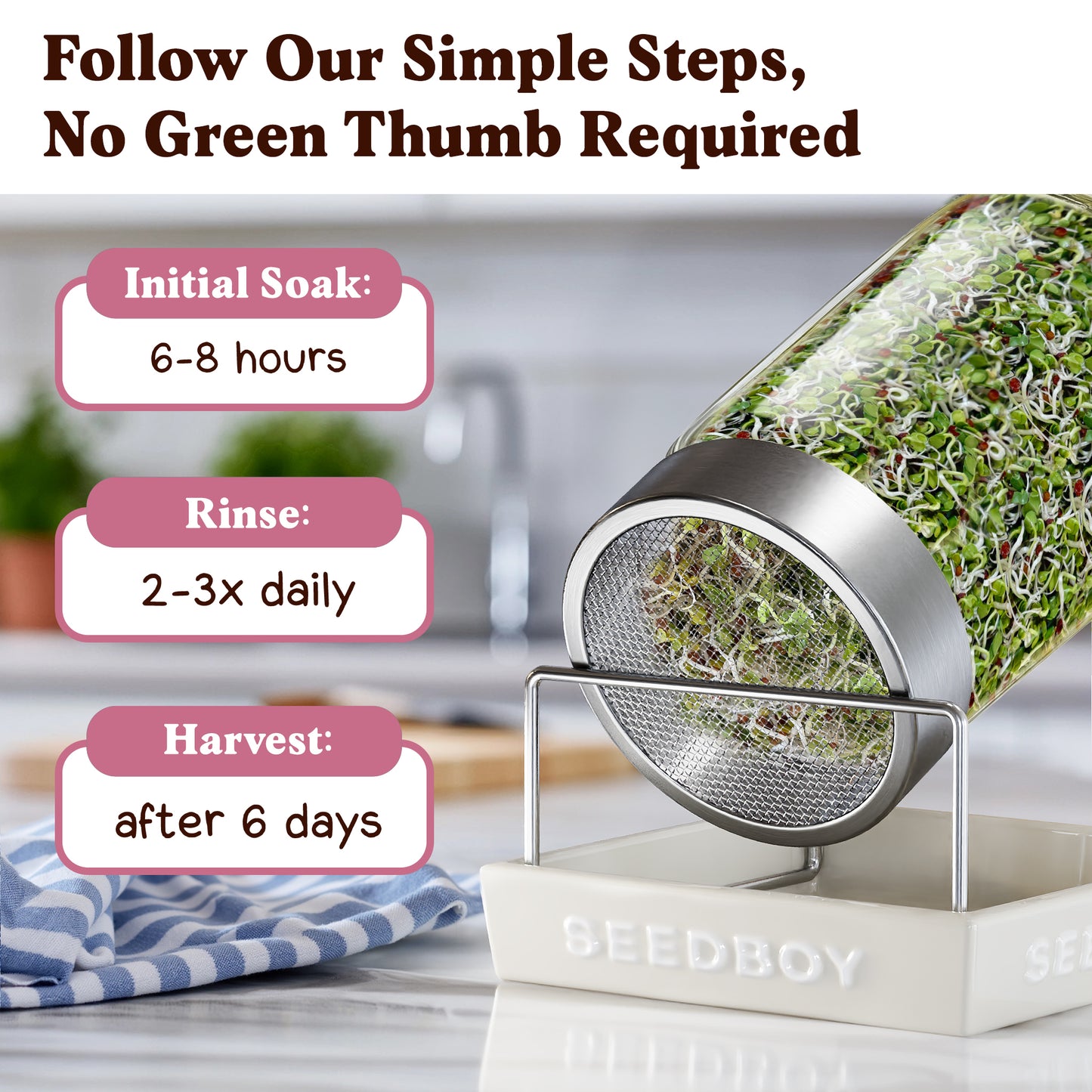 Radish Sprouting Seeds, Organic & Non-GMO  – 8 oz Bag