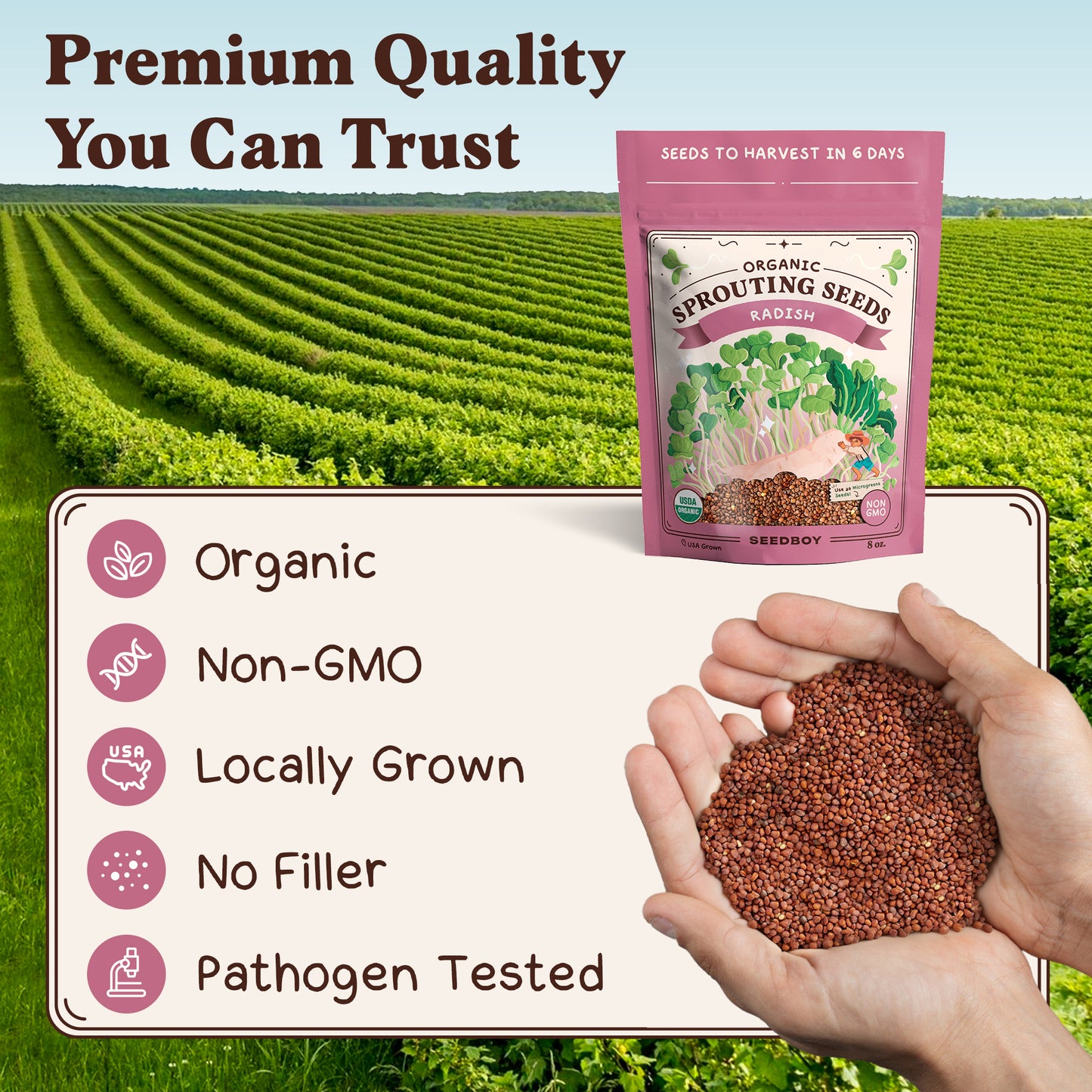 Radish Sprouting Seeds, Organic & Non-GMO  – 8 oz Bag