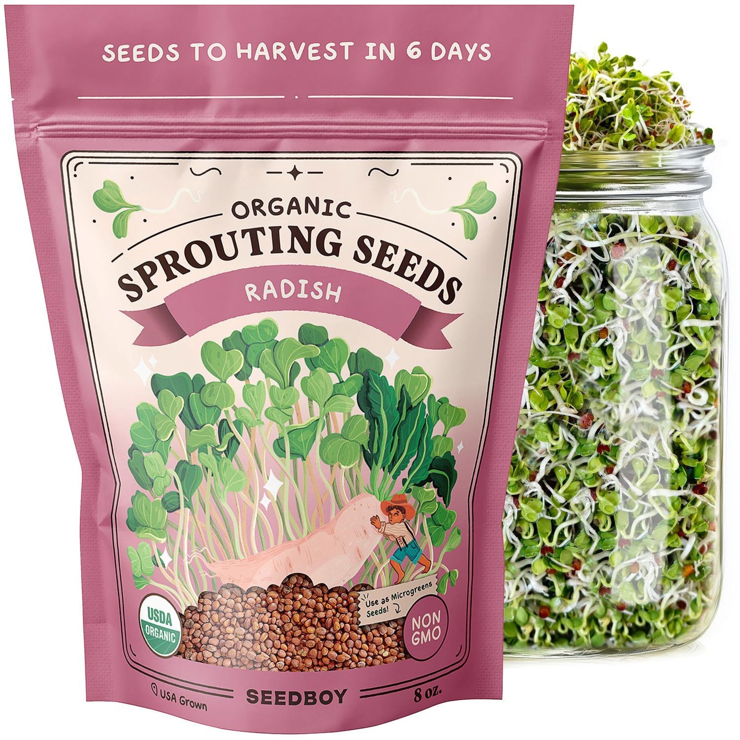 Radish Sprouting Seeds, Organic & Non-GMO  – 8 oz Bag