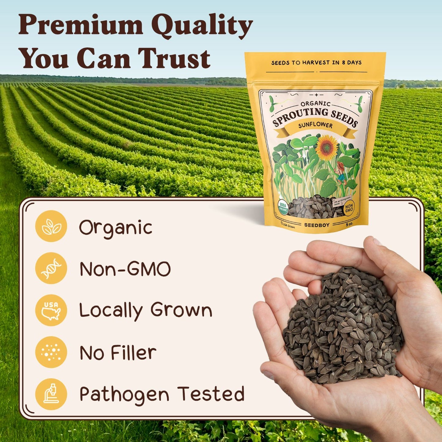 Sunflower Sprouting Seeds, Organic & Non-GMO – 8 oz Bag