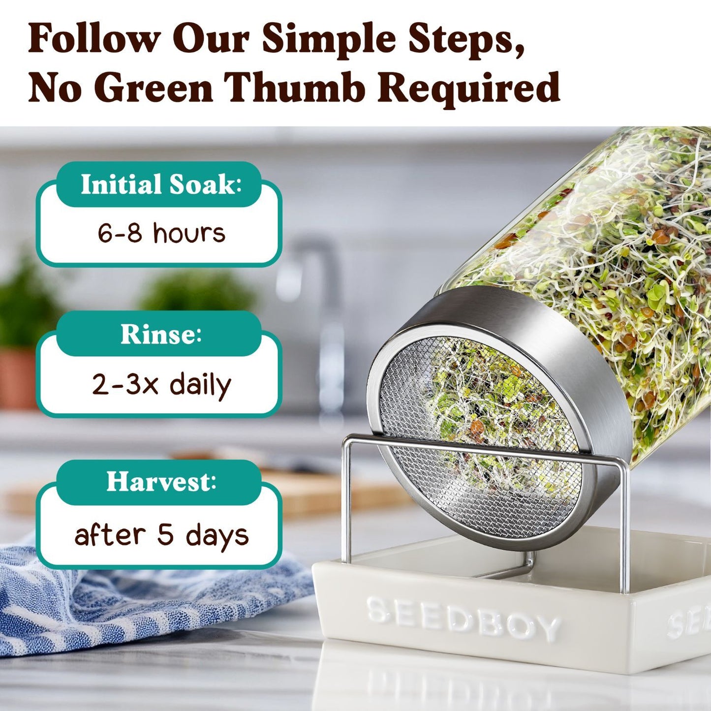 Organic Superfood Blend Sprouting Seeds