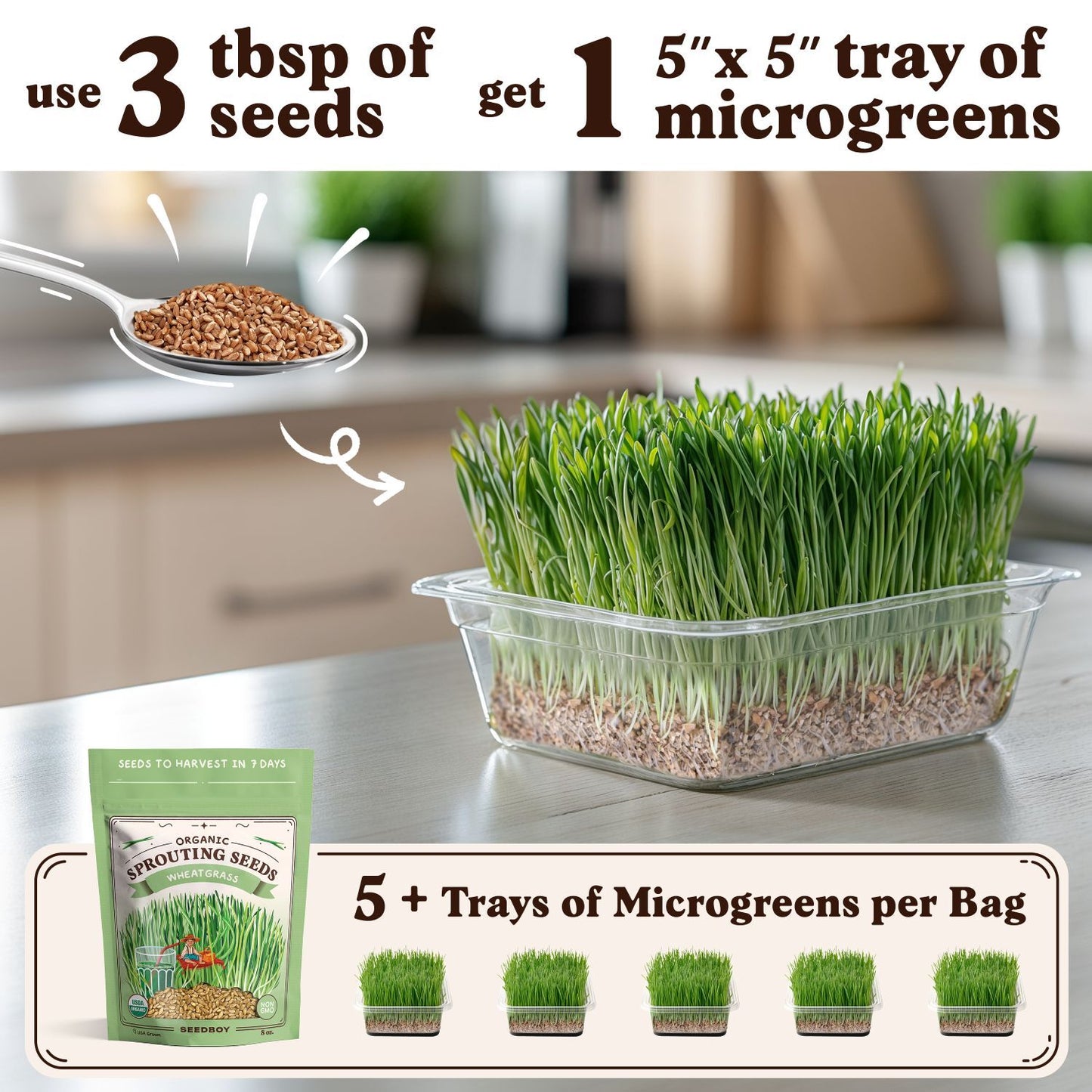Wheatgrass Sprouting Seeds, Organic & Non-GMO  – 8 oz Bag