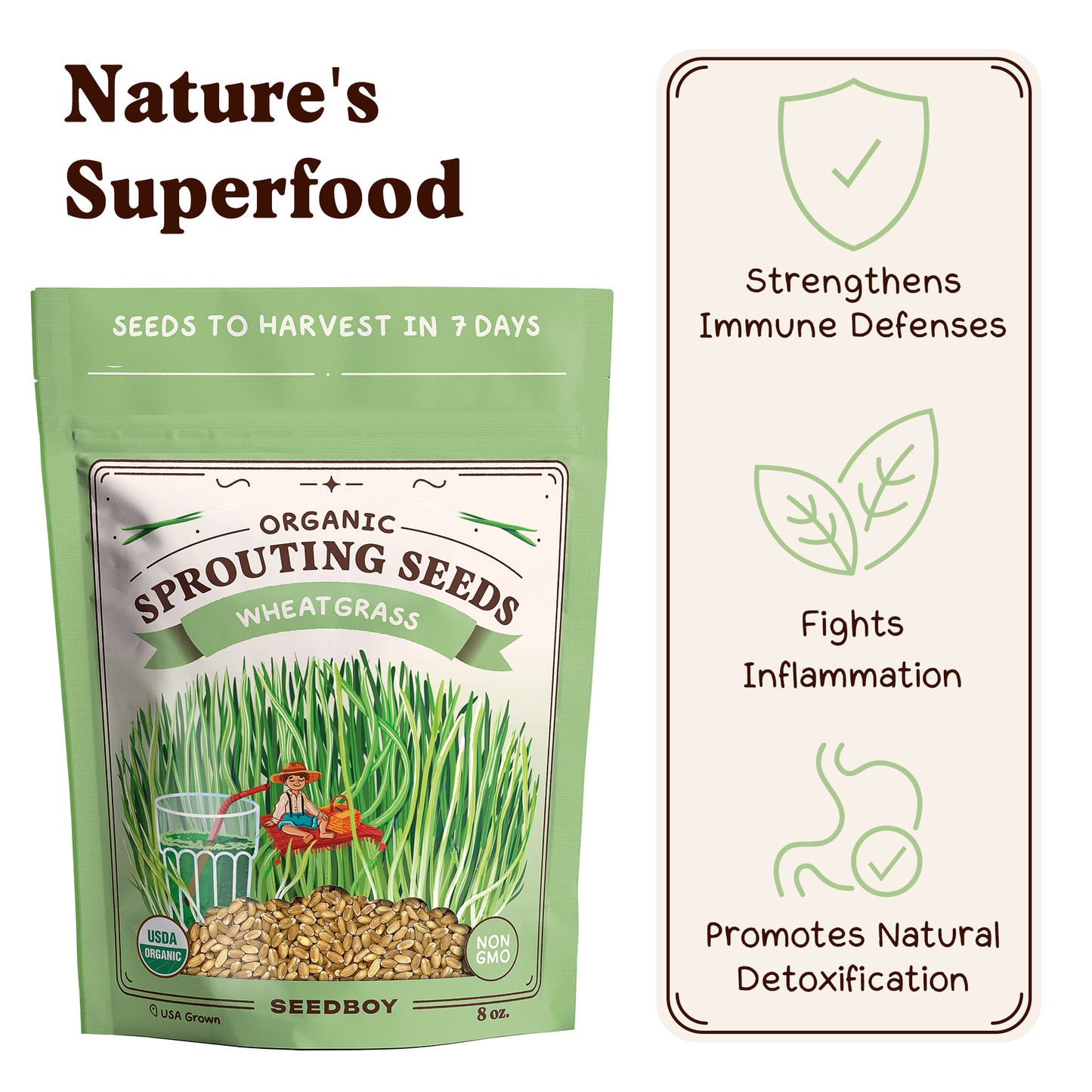 Wheatgrass Sprouting Seeds, Organic & Non-GMO  – 8 oz Bag