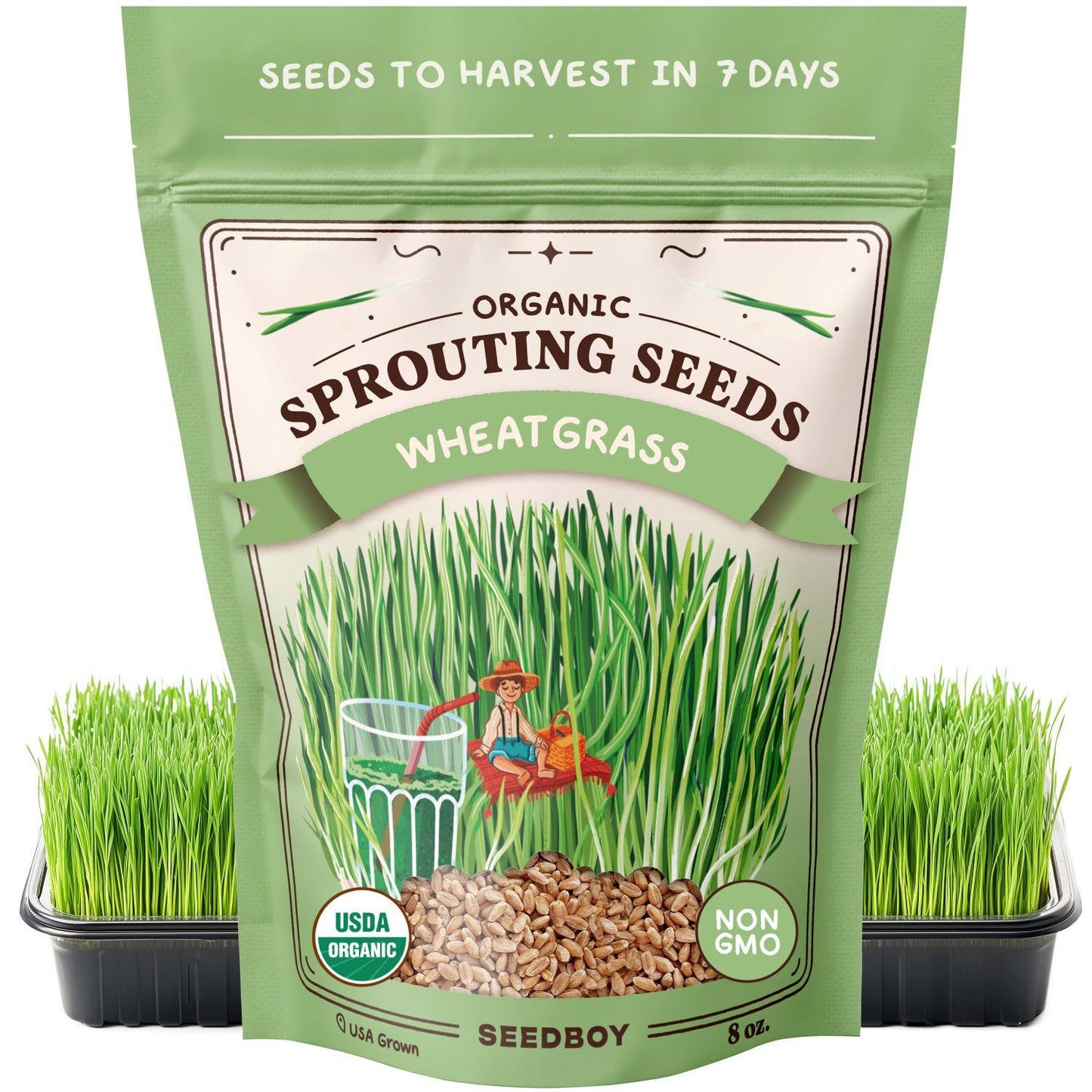 Wheatgrass Sprouting Seeds, Organic & Non-GMO  – 8 oz Bag