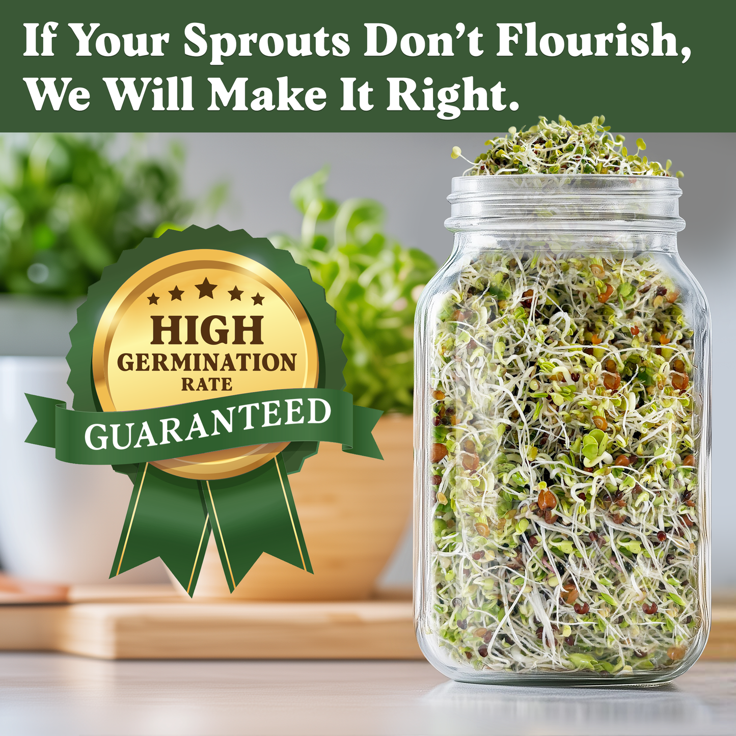 Organic Superfood Blend Sprouting Seeds