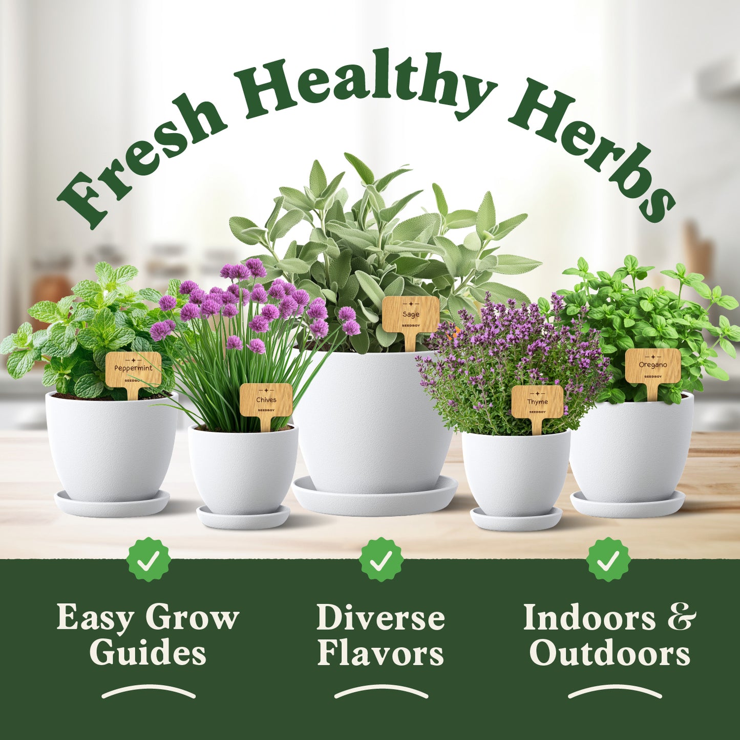 10 Herb Seed Packets - Variety Package