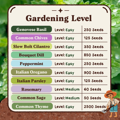 10 Herb Seed Packets - Variety Package