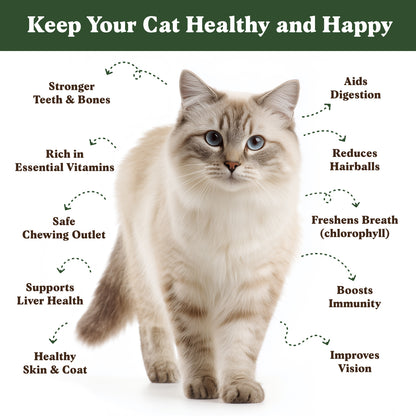 Organic Cat Grass Seed Packet – 8 oz Bag