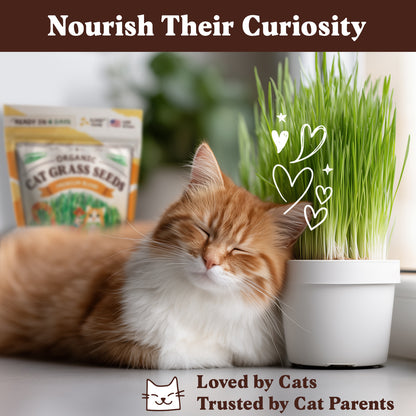 Organic Cat Grass Seed Packet – 8 oz Bag