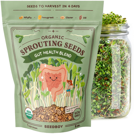 Organic Gut Health Blend Sprouting Seeds