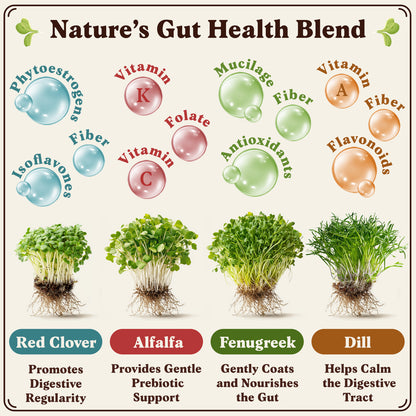 Organic Gut Health Blend Sprouting Seeds
