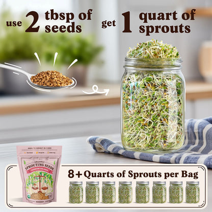 Organic Hormone Balance Blend Sprouting Seeds