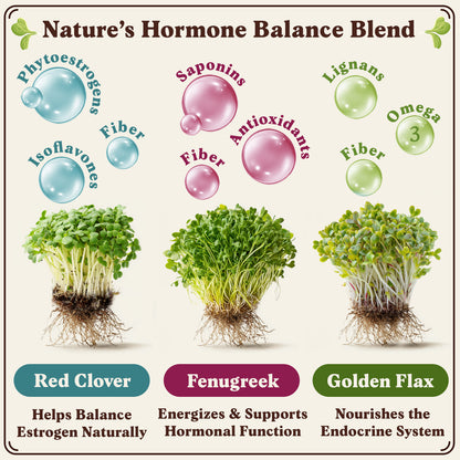 Organic Hormone Balance Blend Sprouting Seeds