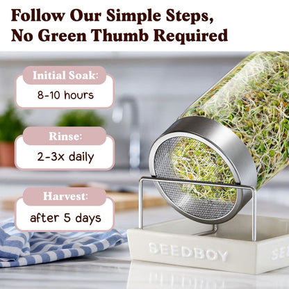 Organic Hormone Balance Blend Sprouting Seeds