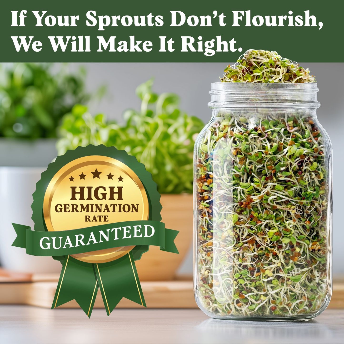 Organic Longevity Blend Sprouting Seeds