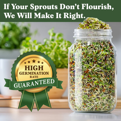 Organic Longevity Blend Sprouting Seeds