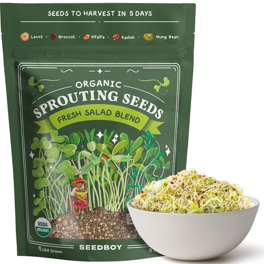 Organic Fresh Salad Blend Sprouting Seeds